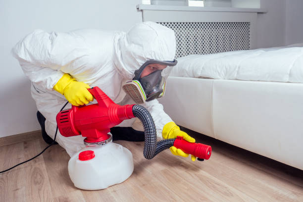 Best Pest Prevention Services  in Erwin, TN