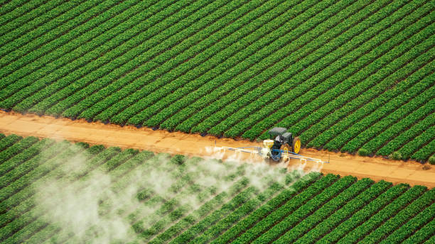 Best Ant Control Services  in Erwin, TN