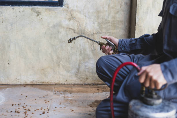 Best Best Pest Control Companies  in Erwin, TN